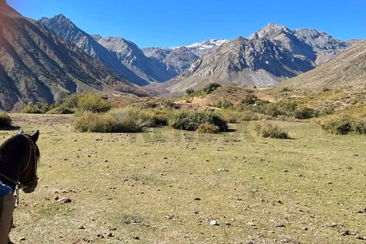 Fundo cordillerano en maule 8.000 ha - Imagen 12