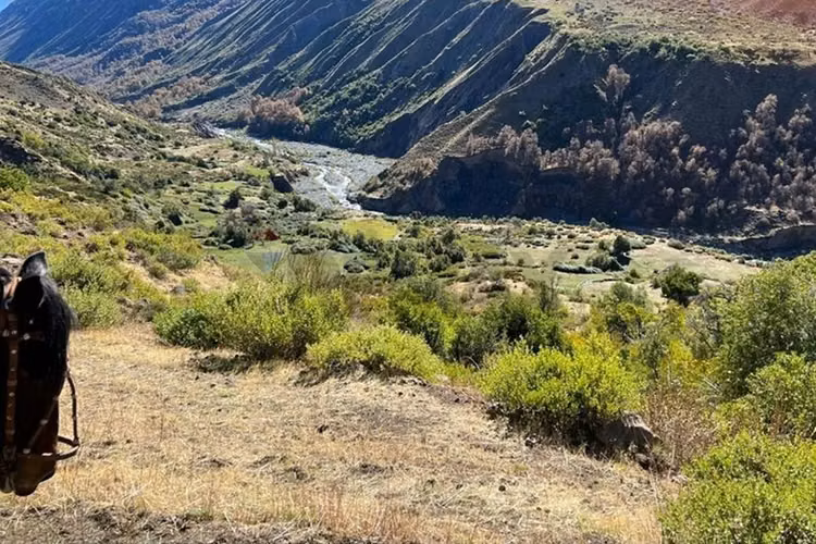 Fundo cordillerano en maule 8.000 ha - Imagen 14