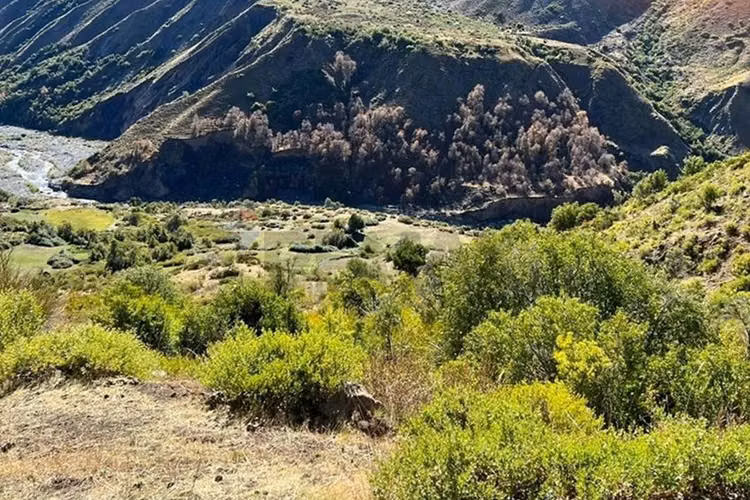 Fundo cordillerano en maule 8.000 ha - Imagen 13