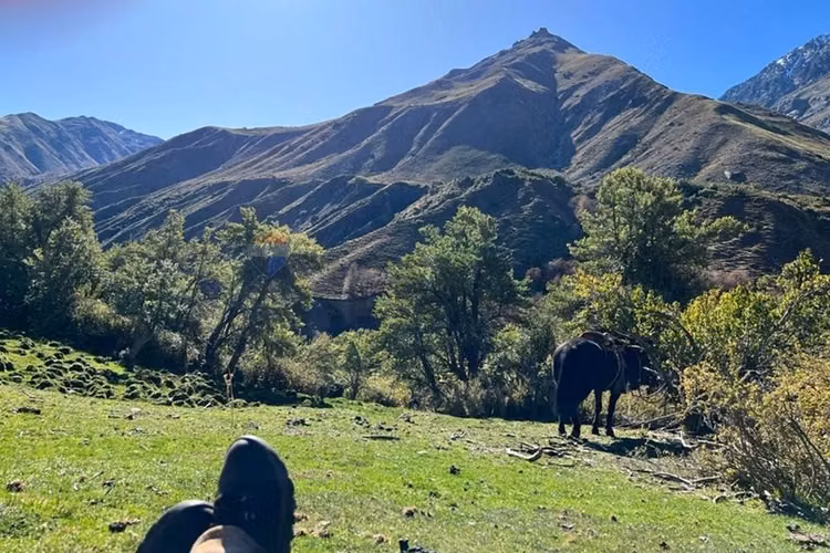 Fundo cordillerano en maule 8.000 ha - Imagen 3
