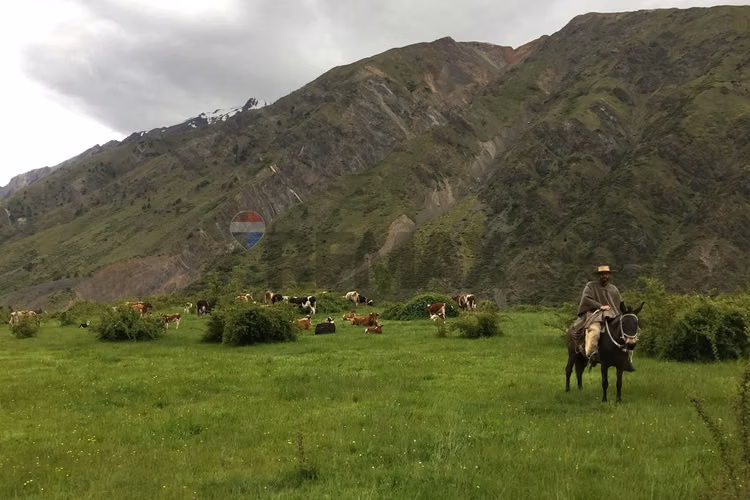 Fundo cordillerano en maule 8.000 ha - Imagen 9