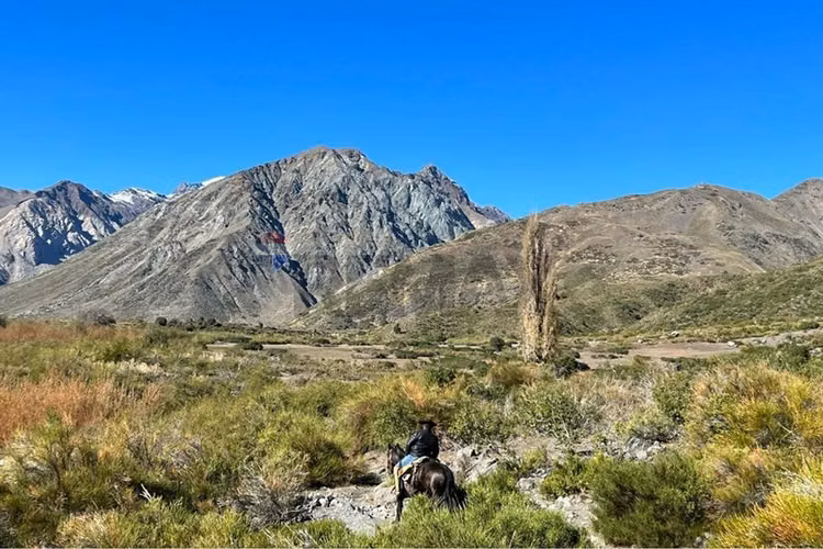 Fundo cordillerano en maule 8.000 ha - Imagen 21