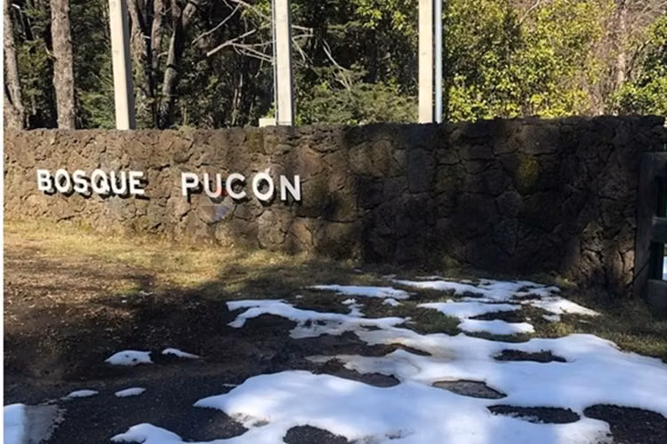 Parcela ideal en los nevados, pucón.
