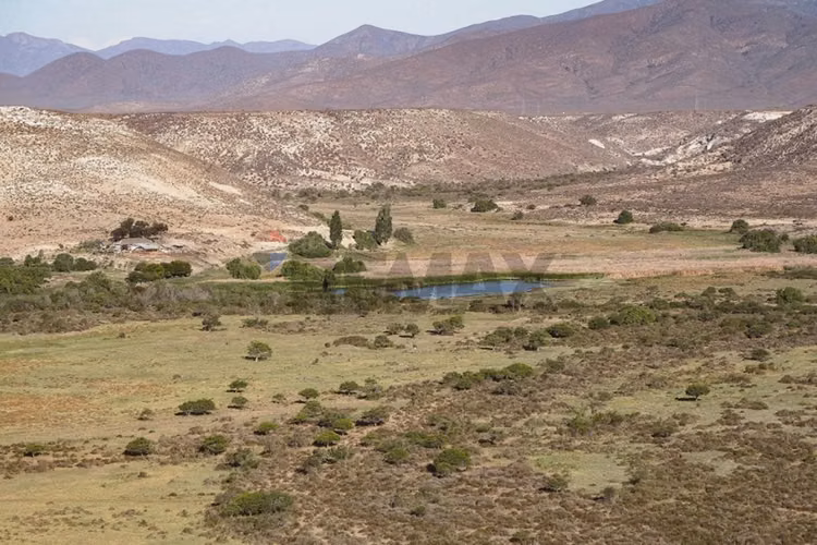 Terreno 5.000 m² estancia el tangue