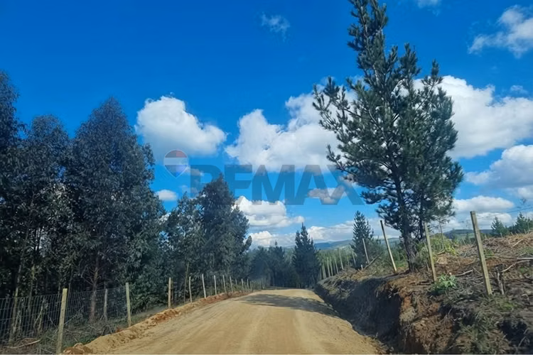 Venta de parcela en hualañe