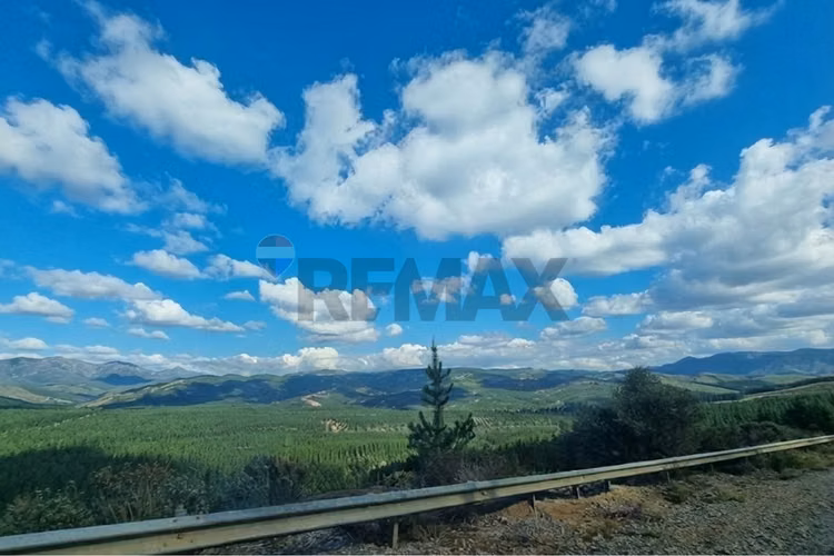 Venta de parcela en hualañe