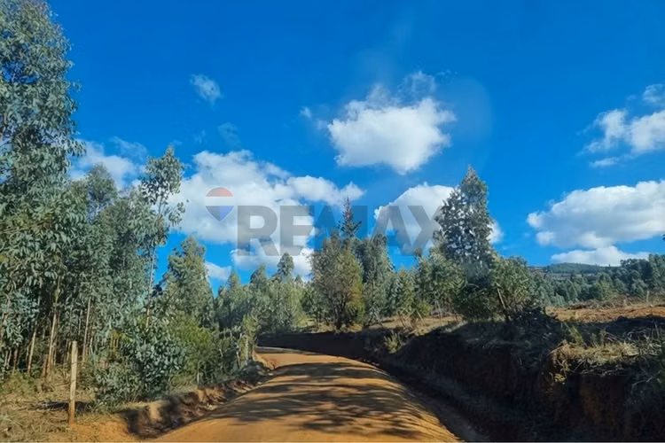 Venta de parcela en hualañe