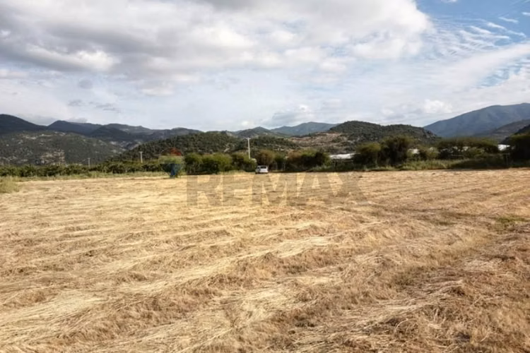 Parcela en los mayos: inversión tranquila y segura