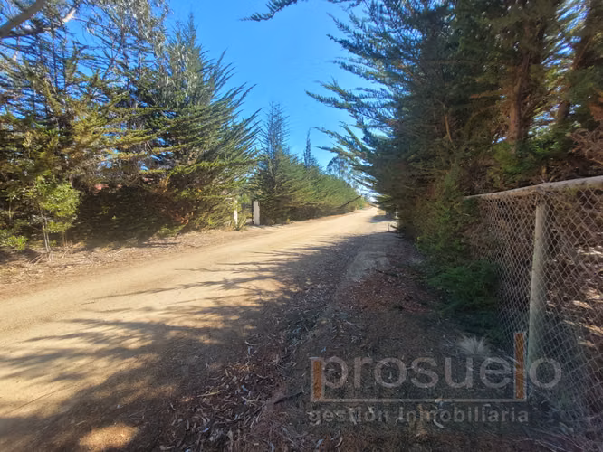 PARCELA  PLANA CERRADA EN CONDOMINIO LA CANDELARIA ALGARROBO - Imagen 6