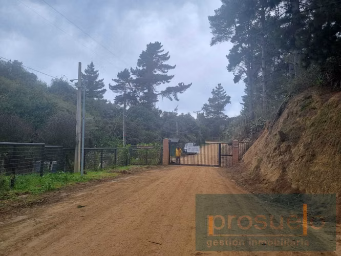 PARCELA  PLANA CERRADA EN CONDOMINIO LA CANDELARIA ALGARROBO - Imagen 2