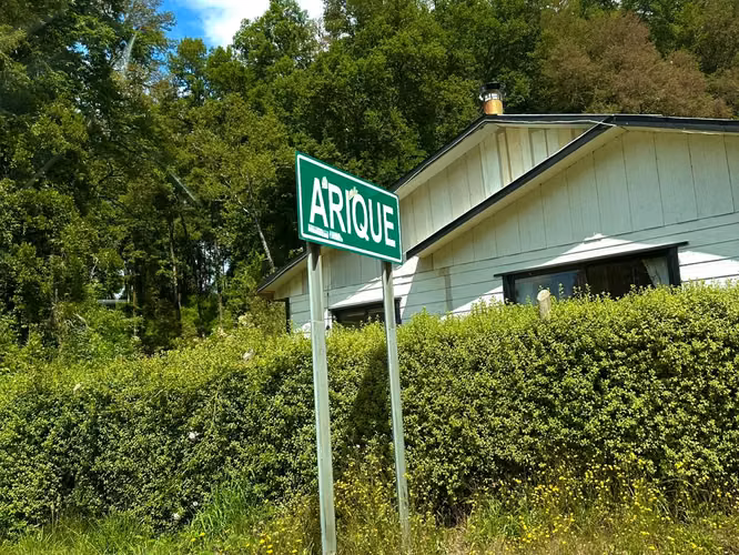 PARCELA CON ACCESO AL RÍO CALLE CALLE EN ARIQUE - Imagen 16