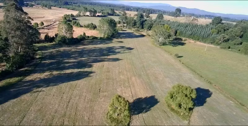 88 HECTÁREAS CON CASA Y GALPÓN EN TANTAUCO LOS LAGOS - Imagen 3