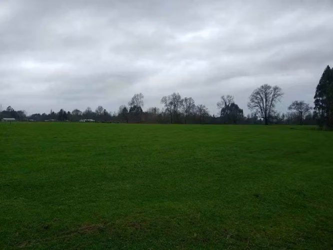 TERRENO DE 5000 M2 EN PUFUDI CERCA DE VALDIVIA - Imagen 8
