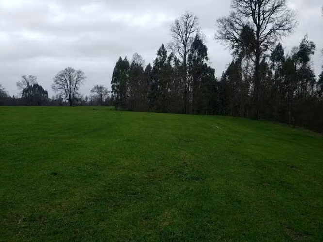 TERRENO DE 5000 M2 EN PUFUDI CERCA DE VALDIVIA - Imagen 7