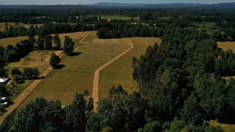 TERRENO DE 5000 M2 EN PUFUDI CERCA DE VALDIVIA - Imagen 10