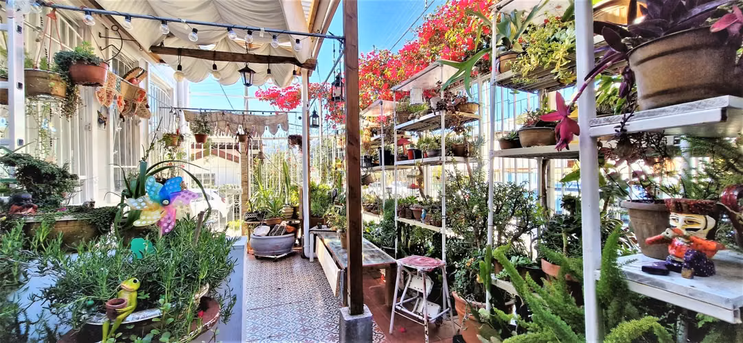 Venta de casa de 3 pisos en Viña , GRAN OPORTUNIDAD , emprendedor CREATIVO. 8.900 UF