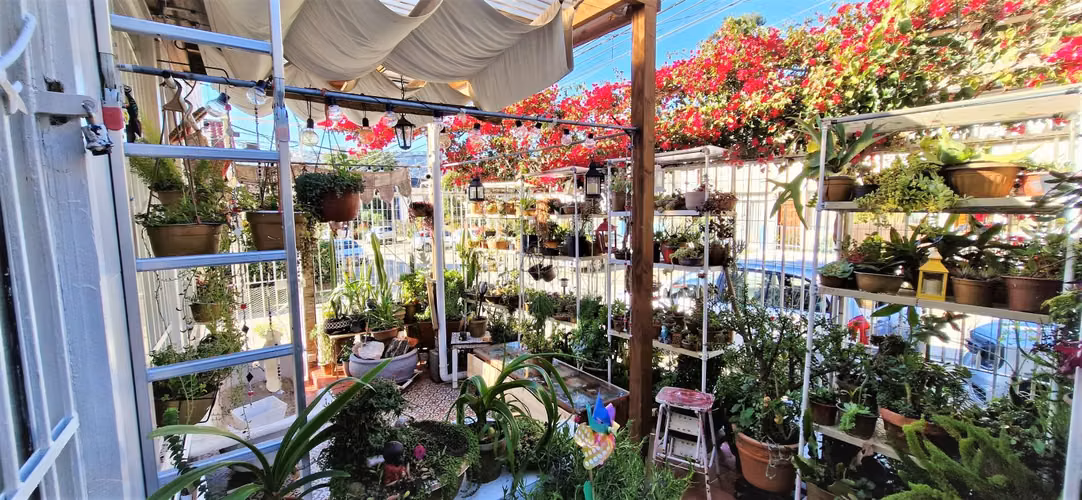 Venta de casa de 3 pisos en Viña , GRAN OPORTUNIDAD , emprendedor CREATIVO. 8.900 UF