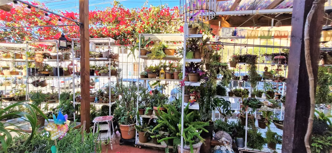 Venta de casa de 3 pisos en Viña , GRAN OPORTUNIDAD , emprendedor CREATIVO. 8.900 UF