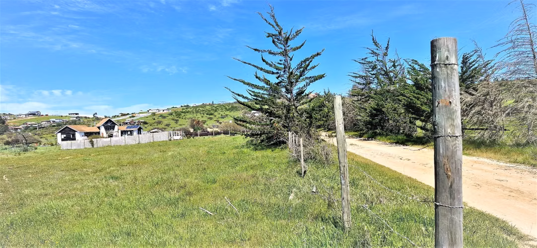 Venta de Sitio plano, Agrícola, de 5.000 m2.,  en Tabolango, Limache. 1.636 UF