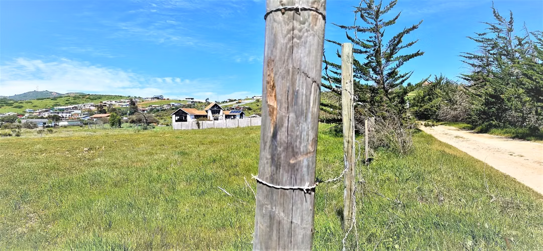 Venta de Sitio plano, Agrícola, de 5.000 m2.,  en Tabolango, Limache. 1.554 UF - Imagen 16