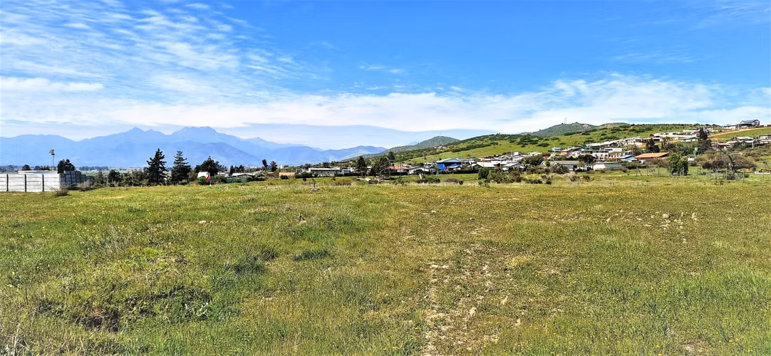Venta de Sitio plano, Agrícola, de 5.000 m2.,  en Tabolango, Limache. 1.554 UF - Imagen 11