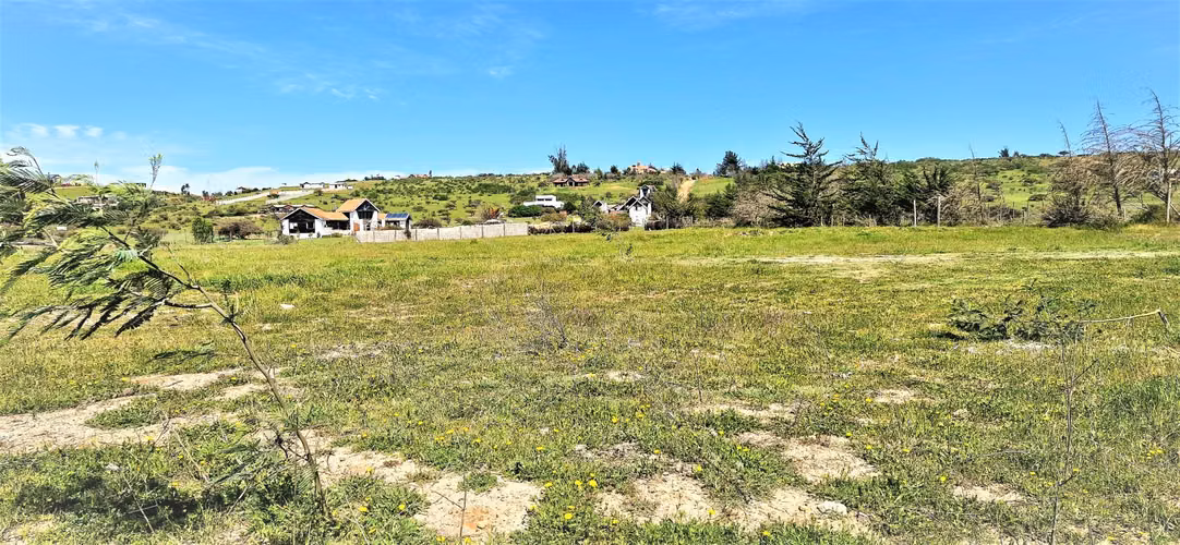 Venta de Sitio plano, Agrícola, de 5.000 m2.,  en Tabolango, Limache. 1.636 UF