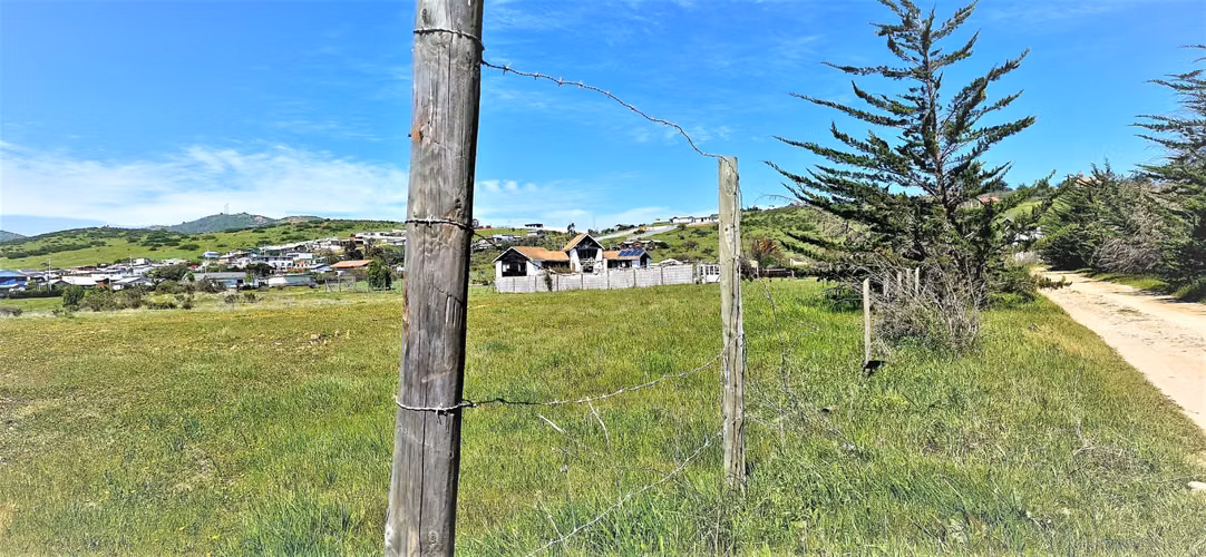 Venta de Sitio plano, Agrícola, de 5.000 m2.,  en Tabolango, Limache. 1.554 UF - Imagen 14
