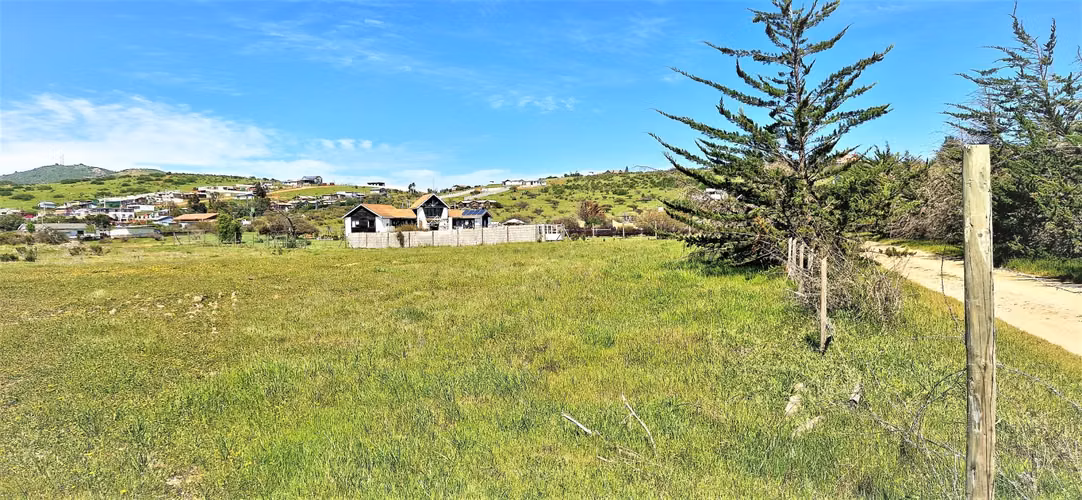 Venta de Sitio plano, Agrícola, de 5.000 m2.,  en Tabolango, Limache. 1.554 UF - Imagen 13