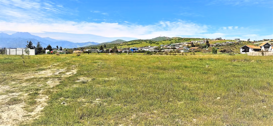 Venta de Sitio plano, Agrícola, de 5.000 m2.,  en Tabolango, Limache. 1.554 UF - Imagen 6