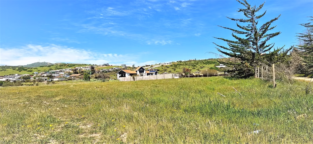 Venta de Sitio plano, Agrícola, de 5.000 m2.,  en Tabolango, Limache. 1.554 UF - Imagen 17