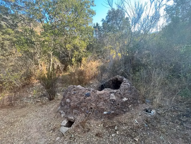 Venta de terreno con bosque nativo de 6,5 há, en Olmué. 200 M$