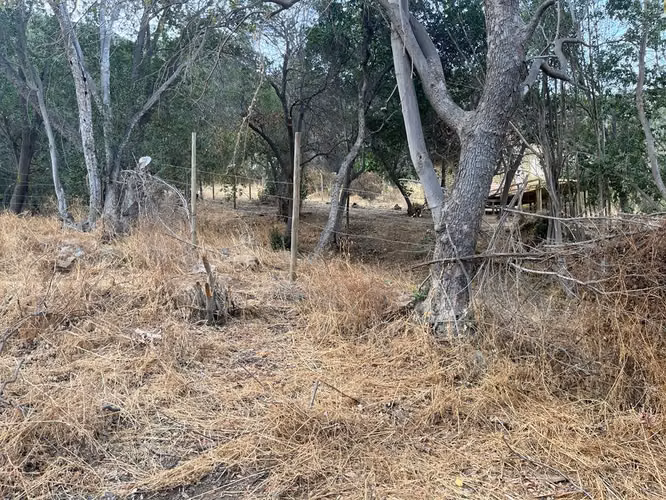 Venta de terreno con bosque nativo de 6,5 há, en Olmué. 200 M$