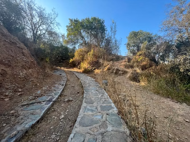 Venta de terreno con bosque nativo de 6,5 há, en Olmué. 200 M$
