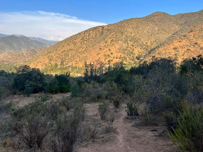 Venta de terreno con bosque nativo de 6,5 há, en Olmué. 200 M$