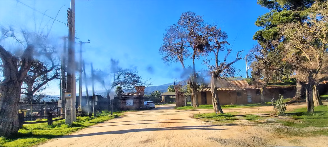 Venta de parcela de 6.000 m2., en Condominio exclusivo en Lo Orozco, Quilpué, 45 M$