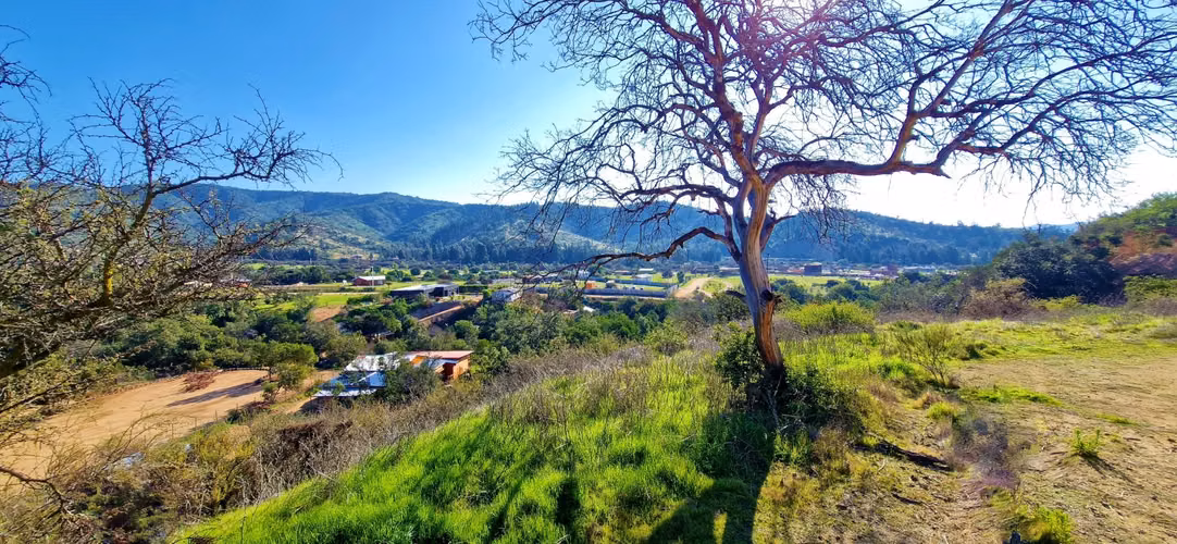 Venta de parcela de 6.000 m2., en Condominio exclusivo en Lo Orozco, Quilpué, 45 M$