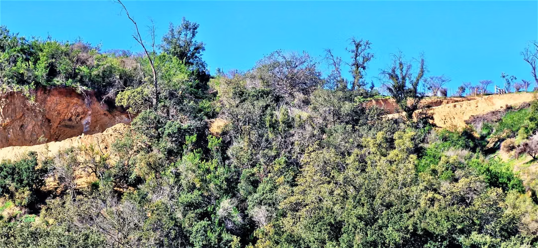 Venta de parcela de 6.000 m2., en Condominio exclusivo en Lo Orozco, Quilpué, 45 M$