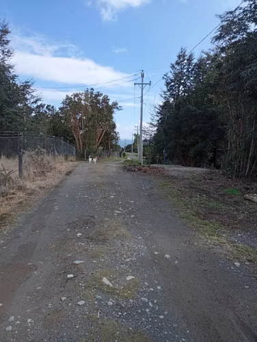 Vive donde comienza la Patagonia - Parcelas en Ruta Costera huailahue