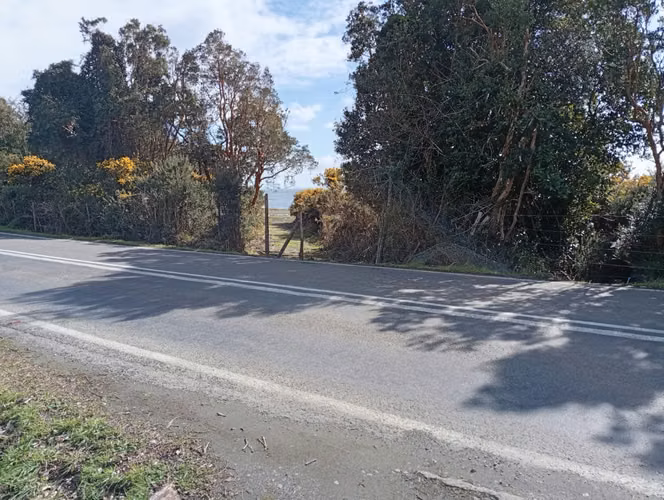 Vive donde comienza la Patagonia - Parcelas en Ruta Costera huailahue