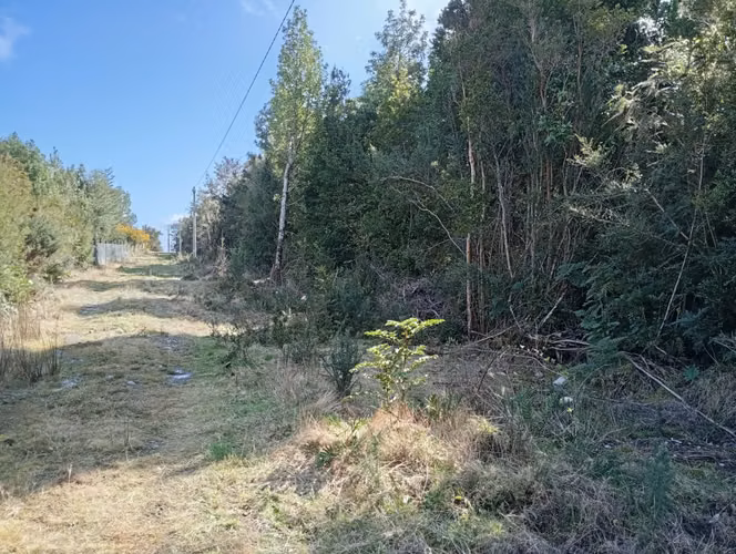 Venta de Parcelas - Ruta Costera Huailahue Puerta de Entrada a la Patagonia