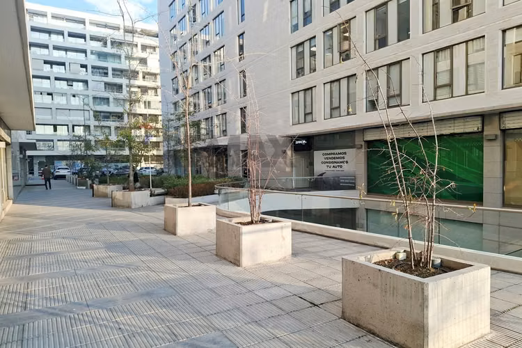 Oficina, estacionamiento y bodega, cantagallo - Imagen 3