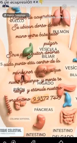 Regálate el descanso que te mereces