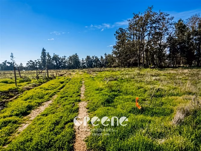 Agrícola en arriendo en Pirque