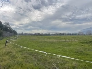 Agrícola en arriendo en Pirque