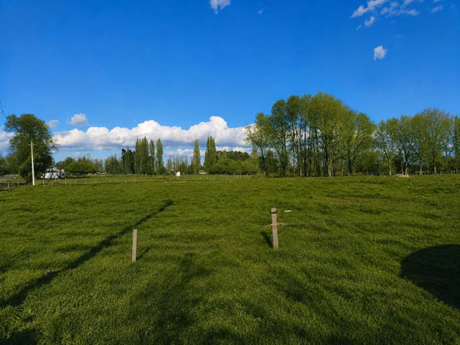 Venta Parcelas 5.000 m² / Condominio de Solo 12 Parcelas / Pelleco – Camino a Mulpulmo / Osorno