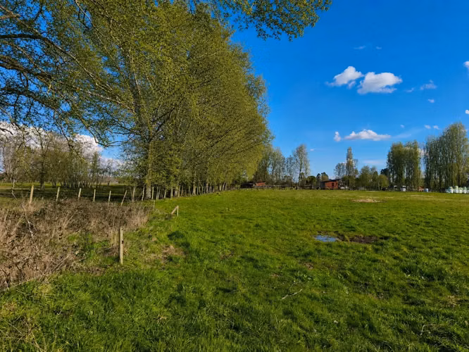 Venta Parcelas 5.000 m² / Condominio de Solo 12 Parcelas / Pelleco – Camino a Mulpulmo / Osorno