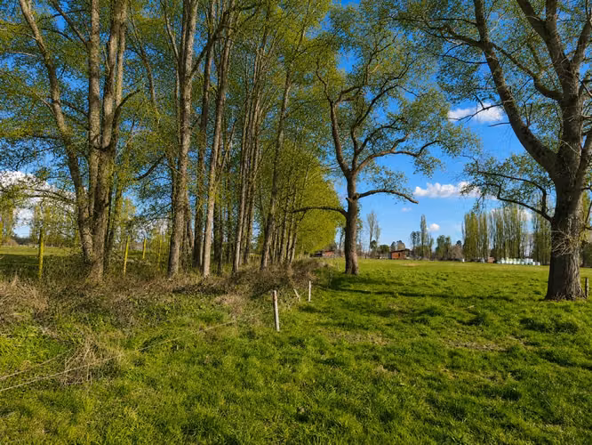 Venta Parcelas 5.000 m² / Condominio de Solo 12 Parcelas / Pelleco – Camino a Mulpulmo / Osorno