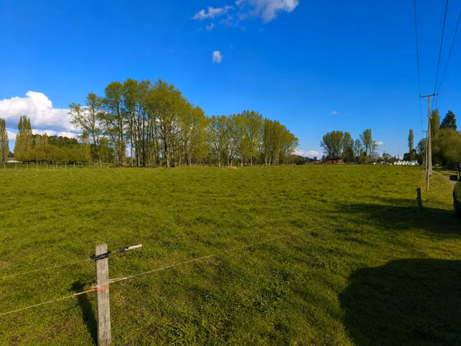 Venta Parcelas 5.000 m² / Condominio de Solo 12 Parcelas / Pelleco – Camino a Mulpulmo / Osorno