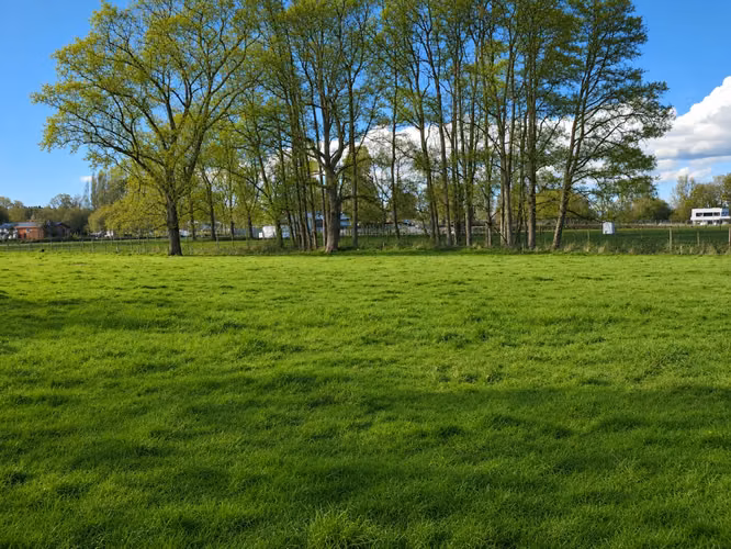 Venta Parcelas 5.000 m² / Condominio de Solo 12 Parcelas / Pelleco – Camino a Mulpulmo / Osorno