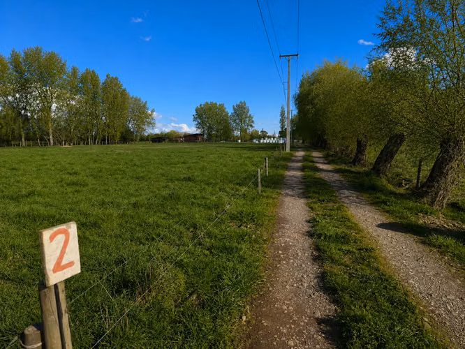 Venta Parcelas 5.000 m² / Condominio de Solo 12 Parcelas / Pelleco – Camino a Mulpulmo / Osorno